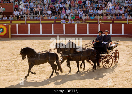 Concurso Nacional de Enganches juste de fuengirola malaga andalousie espagne Sun Coast Banque D'Images