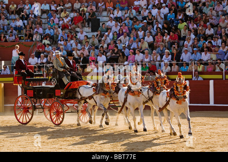 Concurso Nacional de Enganches juste de fuengirola malaga andalousie espagne Sun Coast Banque D'Images