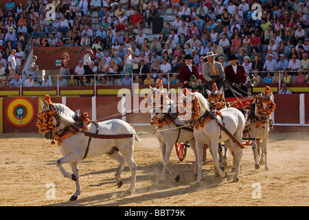 Concurso Nacional de Enganches juste de fuengirola malaga andalousie espagne Sun Coast Banque D'Images