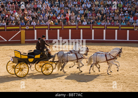 Concurso Nacional de Enganches juste de fuengirola malaga andalousie espagne Sun Coast Banque D'Images