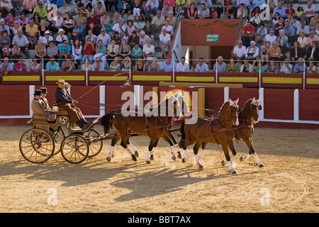 Concurso Nacional de Enganches juste de fuengirola malaga andalousie espagne Sun Coast Banque D'Images