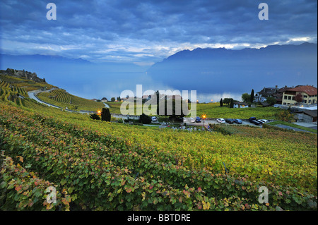 Les vignobles de Lavaux suisse sur le côté du Lac Léman (Lac de Genève) au crépuscule Banque D'Images