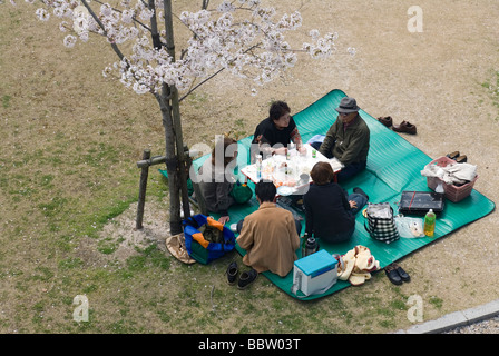Les personnes bénéficiant d'un printemps pique-nique sous les cerisiers en fleurs pour l'hanami fleur ou saison d'affichage Banque D'Images