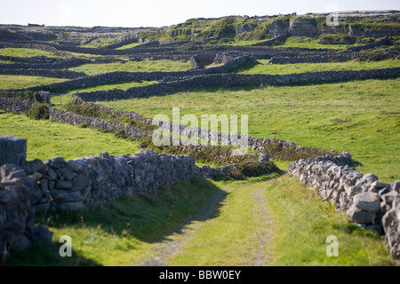 Country Lane et murs de pierres sèches. De nombreux murs de pierre à fusil marquer les petites exploitations des limites qui caractérisent l'Inishmore. Banque D'Images