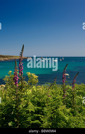 Vue depuis St Agnes sur les îles Scilly, Angleterre, Royaume-Uni Banque D'Images