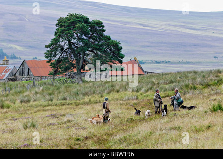 Jeu de chiens et Keeper conversation sur un Scottish Moor après un lagopède des saules tirer près de Aviemore Ecosse Banque D'Images