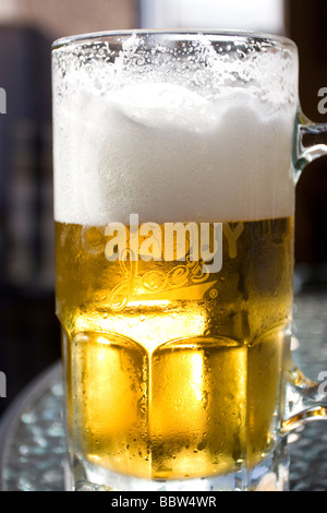 Bière froide en verre avec tête écumeuse de soleil au sommet d'une table patio barbecue pendant Banque D'Images