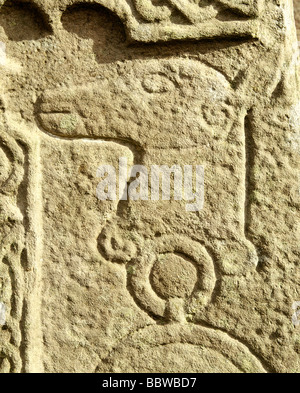 St Fergus Manse Cross Slab. The Manse Pichtish Standing Stone, Glamis Angus, Scotland HOMER SYKES Banque D'Images