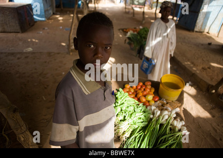 Ismaël Ishag, 12 avec brouette de légumes frais dans les 4 km2 du camp de réfugiés d'Abu Shouk à Al Fasher, au nord Darfour Banque D'Images