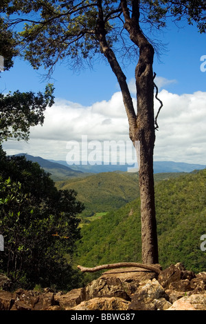 Sur le chemin de l'Agua Fria Cascade Chapada dos Veadeiros Veadeiros Tableland Goias Brésil Banque D'Images