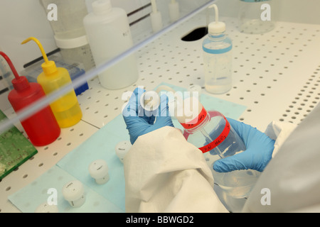 Chercheur scientifique dans la salle blanche d'un travail de laboratoire à la recherche sur le changement climatique. Banque D'Images