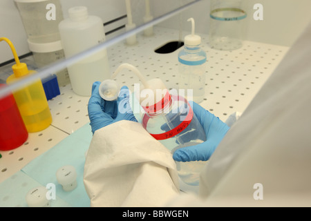 Chercheur scientifique dans la salle blanche d'un travail de laboratoire à la recherche sur le changement climatique. Banque D'Images