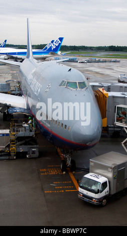 Bird se situe sur le toit du poste de pilotage du Boeing 747 United Airlines porte à l'Aéroport International de Narita, Tokyo Japon Banque D'Images