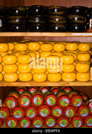 Fromages néerlandais en noir, jaune et rouge empilés sur des étagères dans l'emballage d'une fromagerie d'Amsterdam Banque D'Images