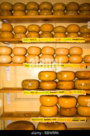 Fromages néerlandais dans l'emballage jaune empilés sur des étagères dans une fromagerie d'Amsterdam Banque D'Images