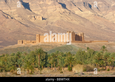 Kasbah de Tamnougalt et Jebel Kissane dans l'Anti Atlas dans la vallée du Draa au Maroc Afrique du Nord Banque D'Images