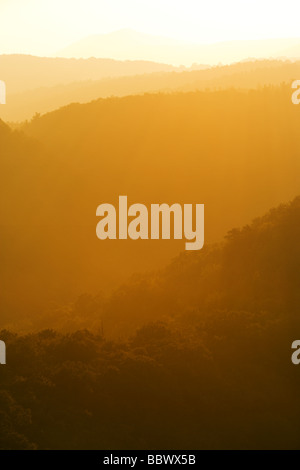 Appalachain montagne au coucher du soleil, vue de plusieurs chaînes de montagnes de reculer en distance. Banque D'Images