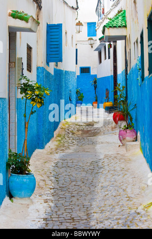 Ruelle dans la Kasbah de Rabat Maroc Banque D'Images