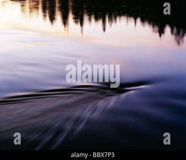 Reflet des arbres dans l'eau Banque D'Images