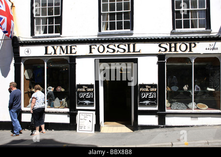 Le Fossile Shop à Lyme Regis Dorset Banque D'Images