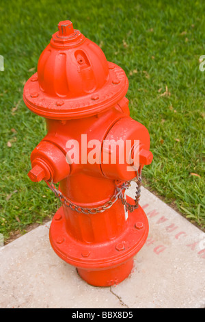 D'INCENDIE rouge vif sur un fond d'herbe verte Banque D'Images