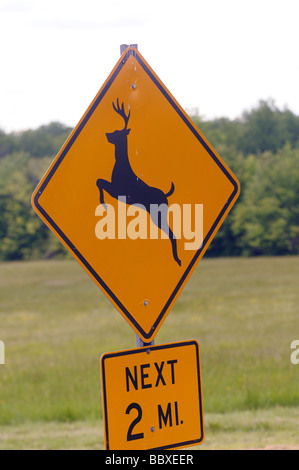 Panneau près de l'aéroport de Bradley avertissement deer crossing Banque D'Images