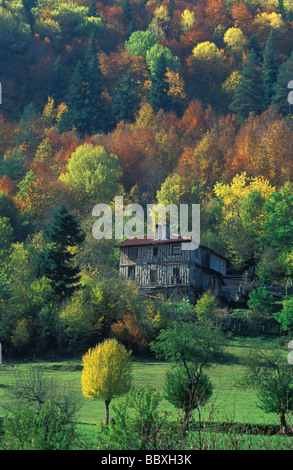 L'automne dans les montagnes de Kure, Kastamonu Turquie Banque D'Images