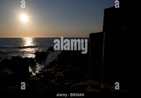 Soleil sur la Chaussée des Géants le comté d'Antrim Coast Irlande du Nord uk europe Banque D'Images