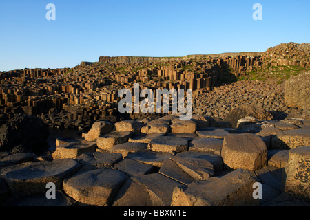 Chaussée des géants dans le comté d'Antrim Coast Irlande du Nord uk europe Banque D'Images