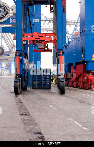 Un camion transporteur de chevauchement se prépare à déplacer des conteneurs ISO de bornes à quai plus loin dans le terminal à conteneurs. Banque D'Images