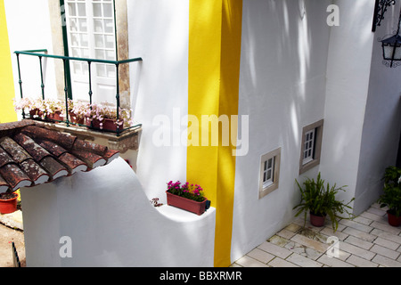 Pot de fleurs à la fenêtre, Obidos, Portugal Banque D'Images