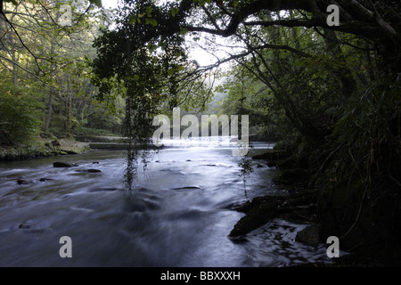 River Camel, Dunmere Banque D'Images