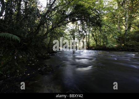 River Camel, Dunmere Banque D'Images