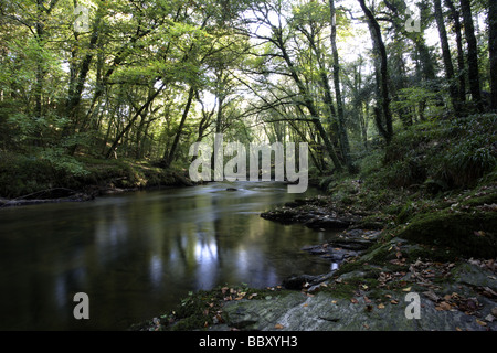 River Camel, Dunmere Banque D'Images