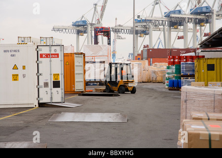 Chariots élévateurs chargeant des conteneurs d'expédition prêts à l'exportation dans un port très fréquenté. Banque D'Images