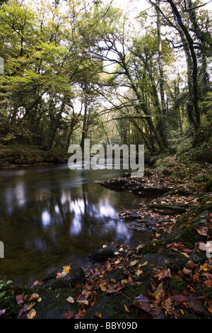 River Camel, Dunmere Banque D'Images