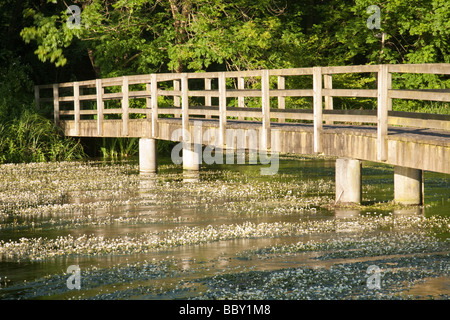 Passerelle sur la rivière Kennett à Chilton Foliat près de Hungerford Berkshire Uk Banque D'Images