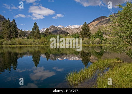 L'évêque de l'Est Région du ruisseau de montagne Sierra près de Bishop Californie États-Unis La saison est le printemps Banque D'Images