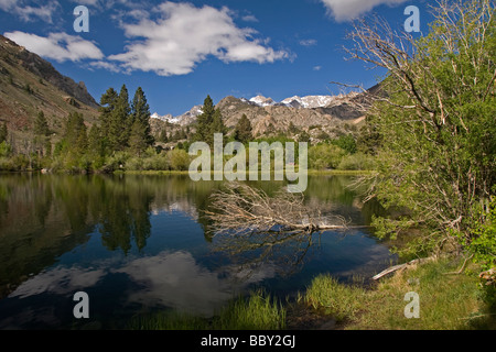 L'évêque de l'Est Région du ruisseau de montagne Sierra près de Bishop Californie États-Unis La saison est le printemps Banque D'Images