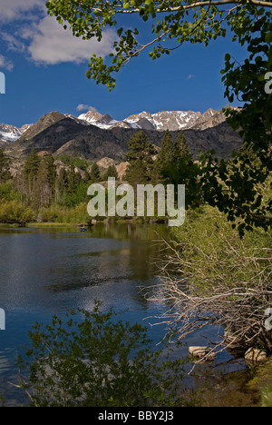 L'évêque de l'Est Région du ruisseau de montagne Sierra près de Bishop Californie États-Unis La saison est le printemps Banque D'Images