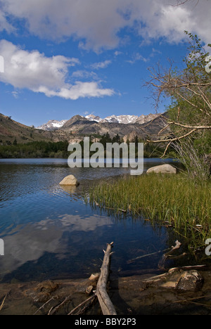 L'évêque de l'Est Région du ruisseau de montagne Sierra près de Bishop Californie États-Unis La saison est le printemps Banque D'Images