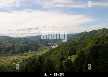 Vue vers la vallée, Nimchech, Carpates, la Bucovine, l'ouest de l'Ukraine Banque D'Images