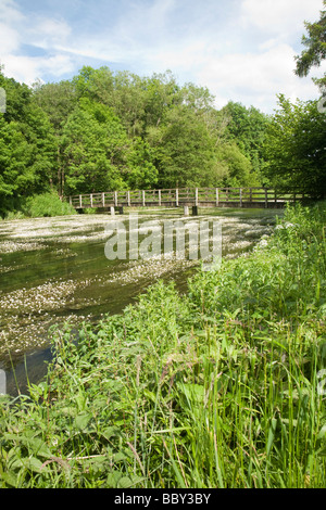 Passerelle sur la rivière Kennett à Chilton Foliat près de Hungerford Berkshire Uk Banque D'Images