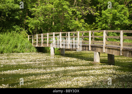 Passerelle sur la rivière Kennett à Chilton Foliat près de Hungerford Berkshire Uk Banque D'Images