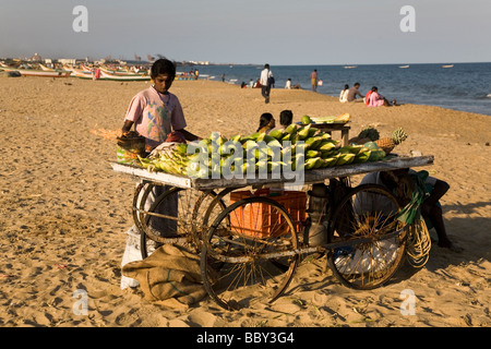 Un homme vend des épis de maïs sur Marina Beach à Chennai, Inde. Banque D'Images