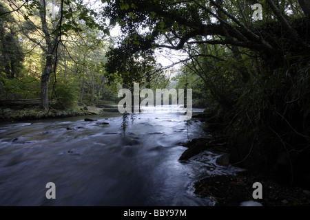 River Camel, Dunmere Banque D'Images