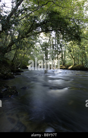 River Camel, Dunmere Banque D'Images