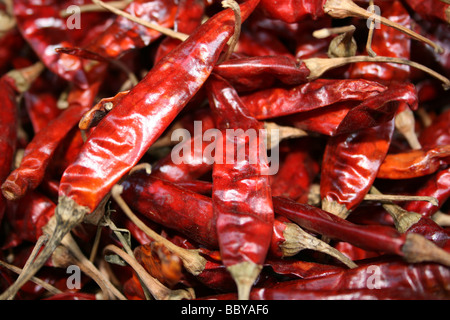 Close-up de piments rouges séchés Banque D'Images