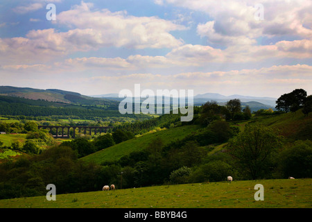 Vue vers Rural Cynghordy viaduc de la ligne de Cœur du Pays de Galles près de la petite ville de Llandovery Banque D'Images