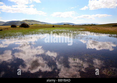 Petit lac près de Brecon Beacons Mountain Centre près du village de Libanus Banque D'Images